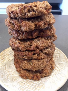 oat-chocolate-chips-cookies